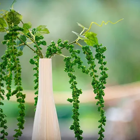 Lavanda Apartments&studios *