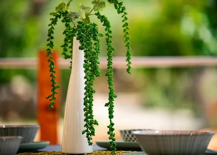 Apartament Lavanda Apartments&studios