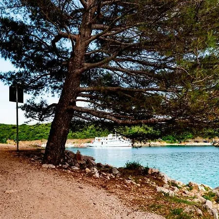 Lavanda Apartments&studios *